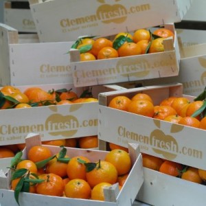 compra naranjas online 
